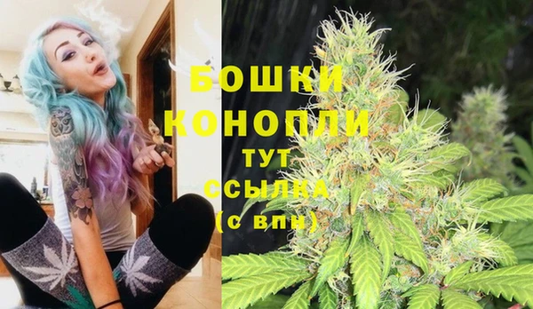 крисы Горно-Алтайск