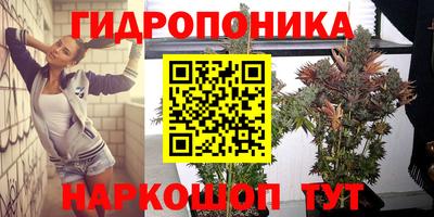 мяу мяу мука Нарткала