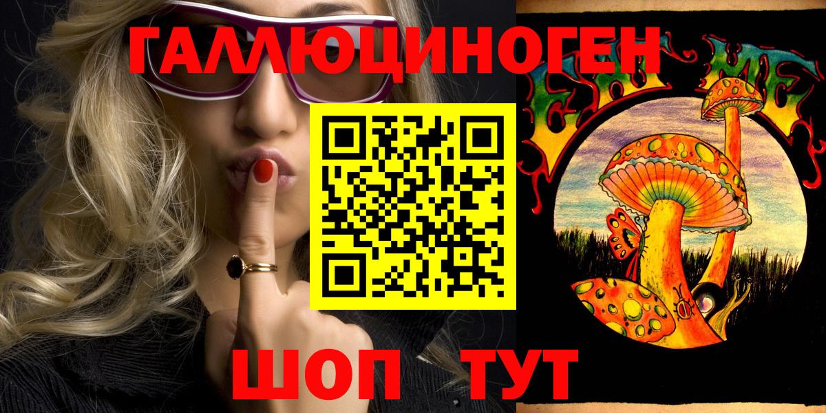 Галлюциногенные грибы Psilocybine cubensis Волоколамск
